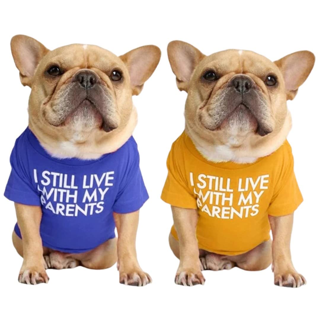 Kutkut 2 Pcs Pet Dog Breathable Stretchy Round Neck T-Shirt I Still Live With My Parents Pet Dogs Cats Dog Cooling Vest T-Shirts