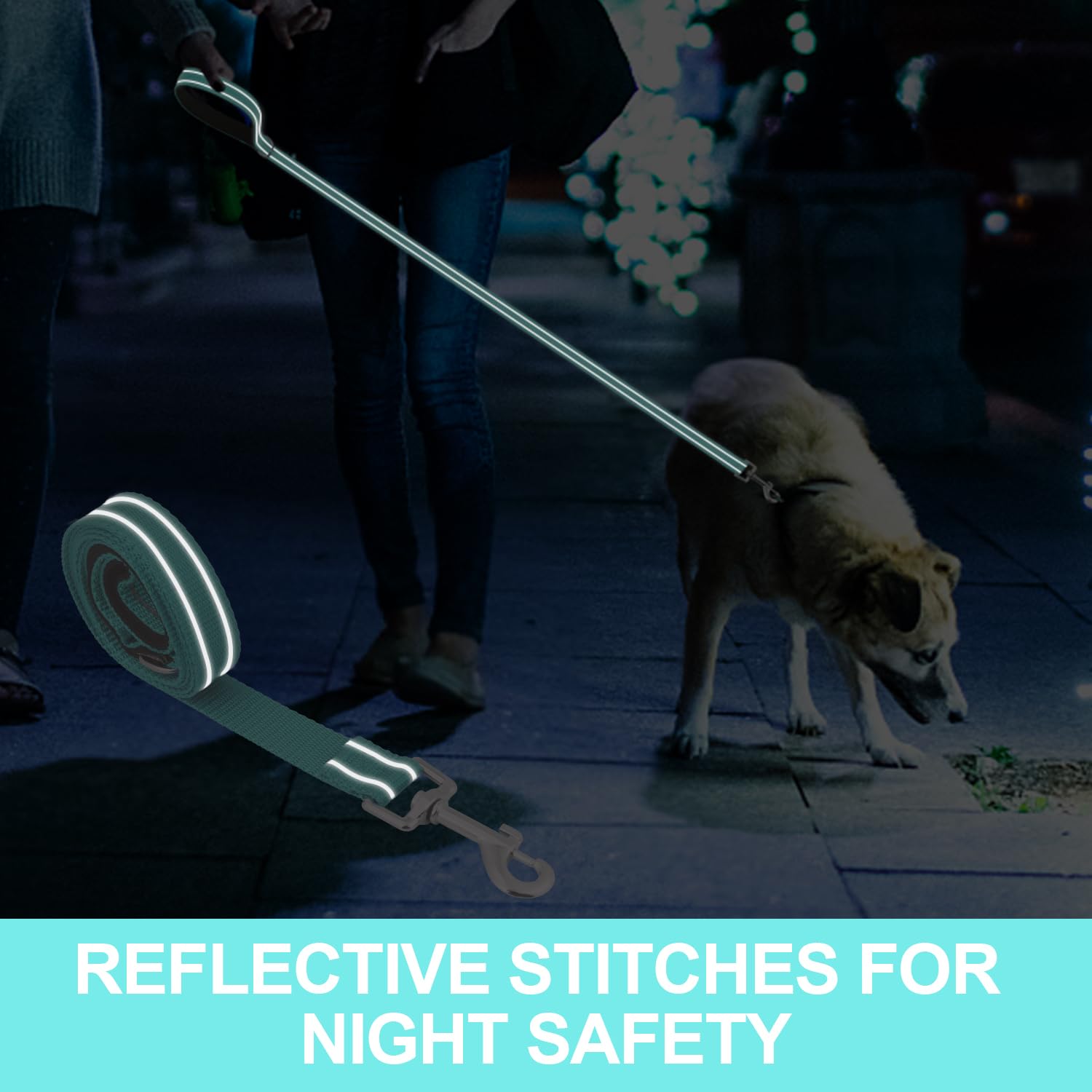 Usunyvora Reflective Nylon Dog Leash For Walking,Strong Dog Leash With Padded Handle For Medium And Large Dogs,5 Ft,Turquoise