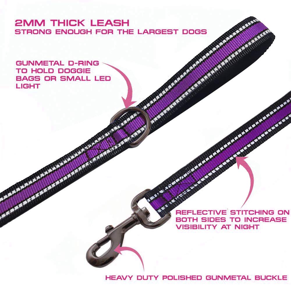 Jsxd Heavy Duty Double Handle Dog Leash - 5 Ft With Comfortable Padded And Reflective Rope, For Small To Large Dogs (Wide-Purple