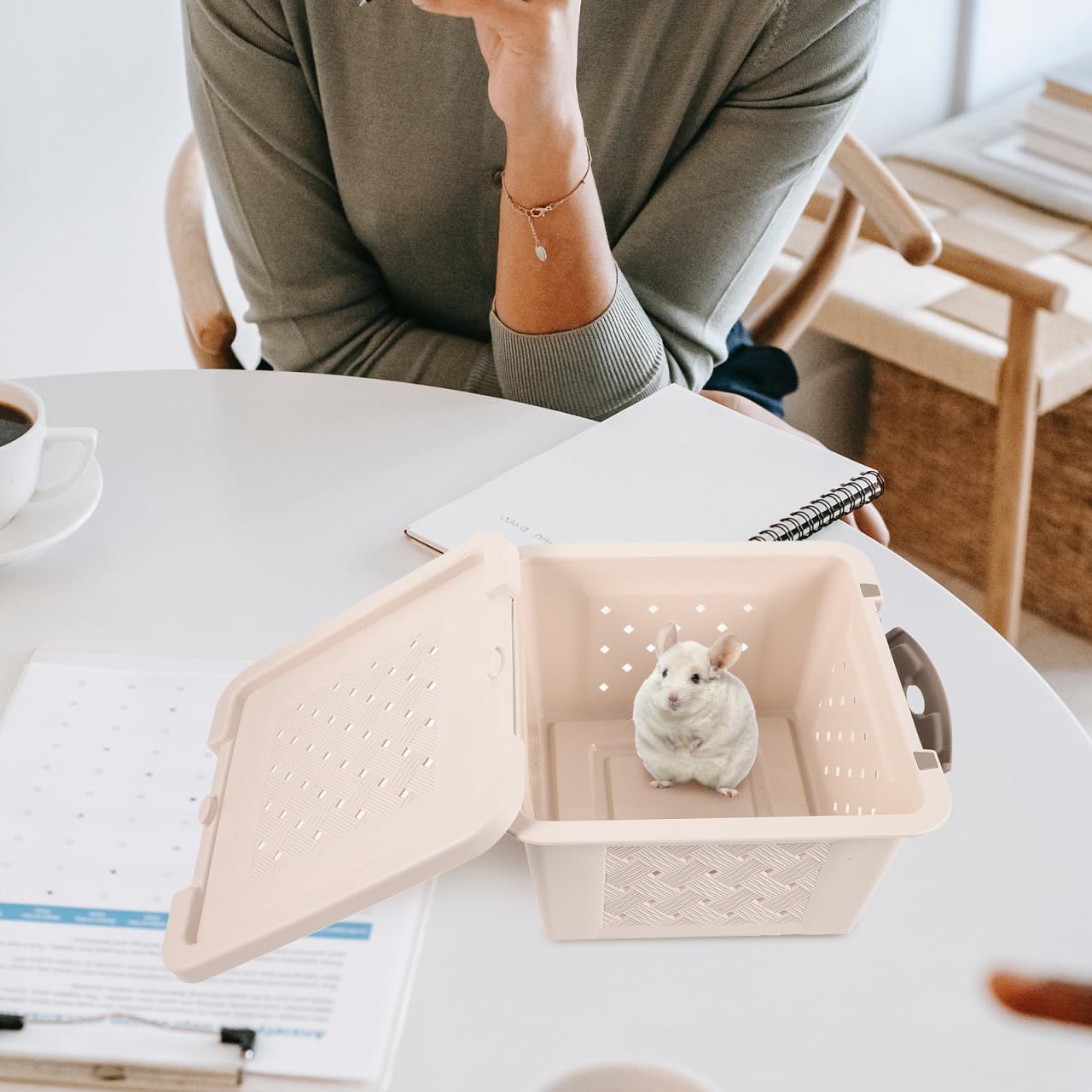 Buguuyo Box Hamster Transport Box Storage Bins Hamster Cage Guinea Pigs Cages Guinea Pig Case Bird Carrier Small Animal Carriers