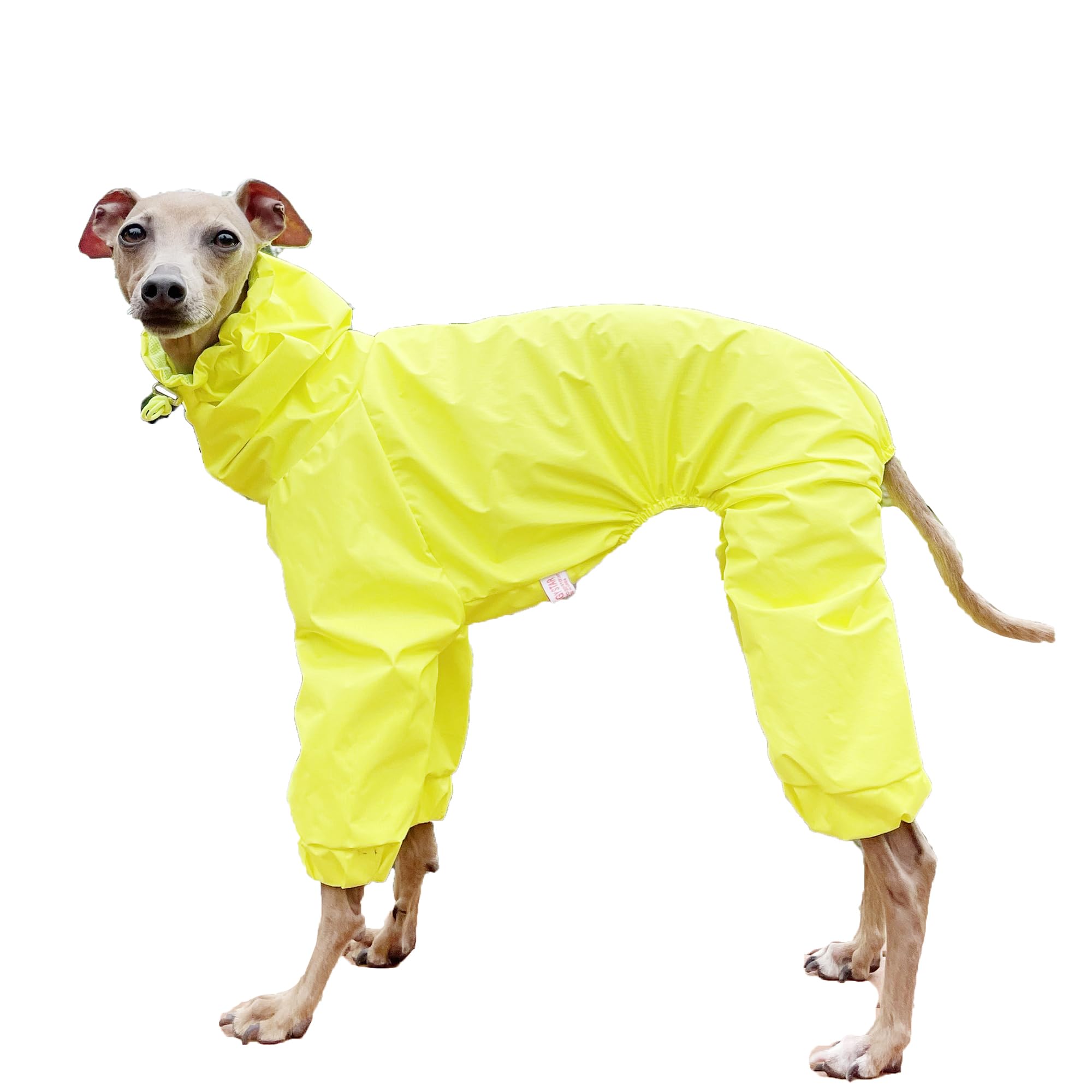 D Doggy Star Italian Greyhound Raincoat Waterproof Jacket Windbreaker Clothes Whippet For Dog (Xl,Raincoat Yellow)