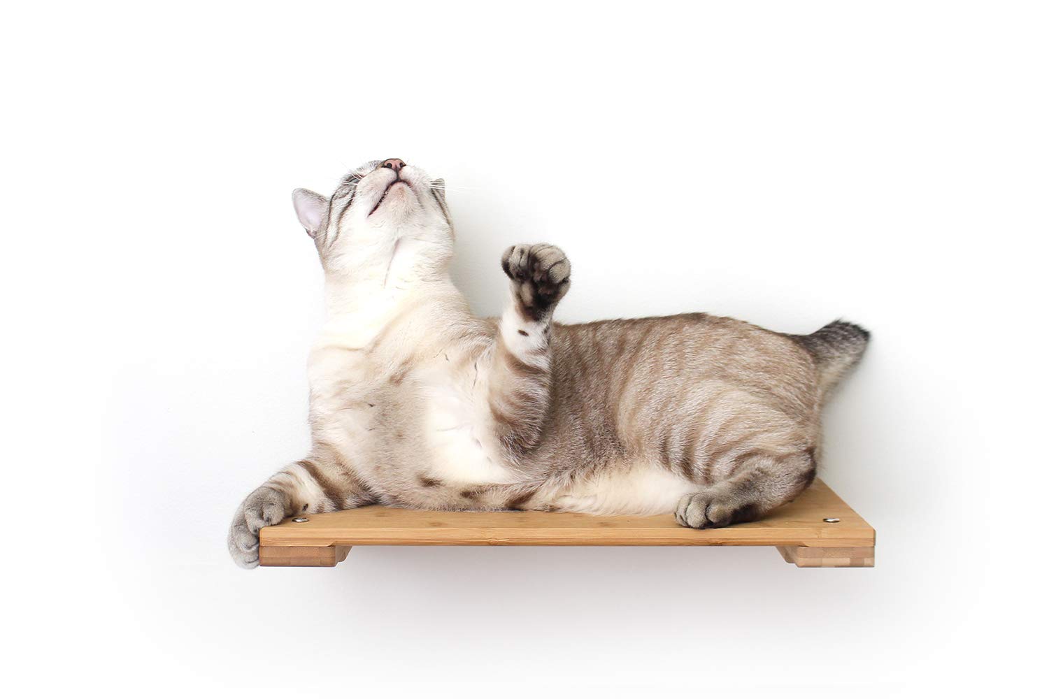 Catastrophicreations Cat 18'' Shelf Handcrafted Elevated Wall, English Chestnut Bamboo, One Size