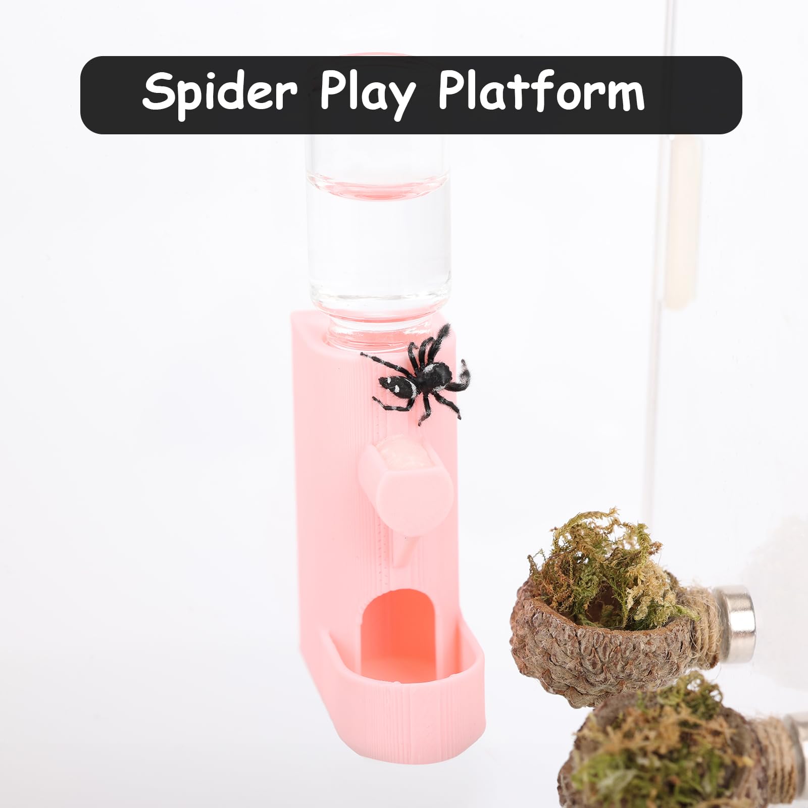 Daerky Small Animal Water Feeder, Magnetic Hanging Feeder & Hidden Cave - Accessories For Jumping Spiders, Wolf Spiders, Mantise