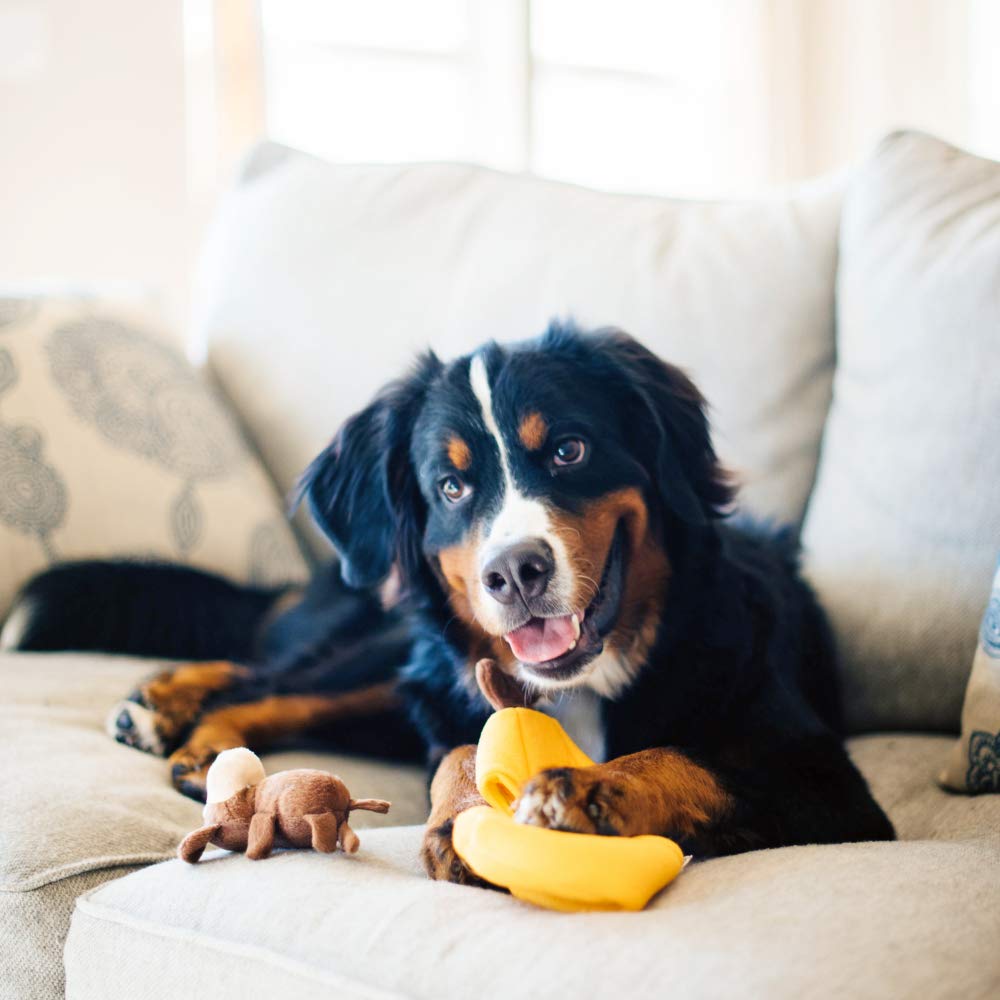 ZippyPaws Burrow, Zoo Friends Monkey 'n Banana - Interactive Dog Toys for Boredom - Hide and Seek Dog Toys, Colorful Squeaky Dog