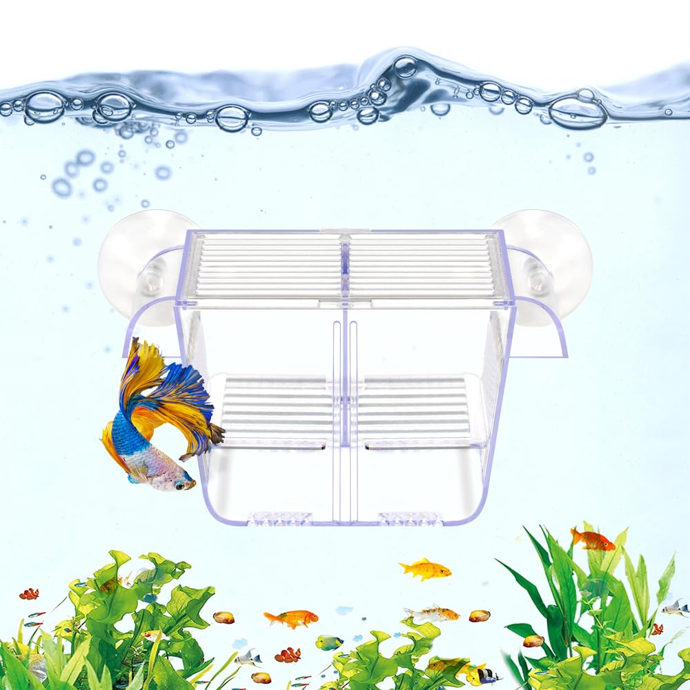DaToo Fish Breeding Box Aquarium Holding Tank Transparent Fish Isolati – Petocart DaToo Fish Breeding Box Aquarium Holding Tank Transparent Fish Isolati – Petocart