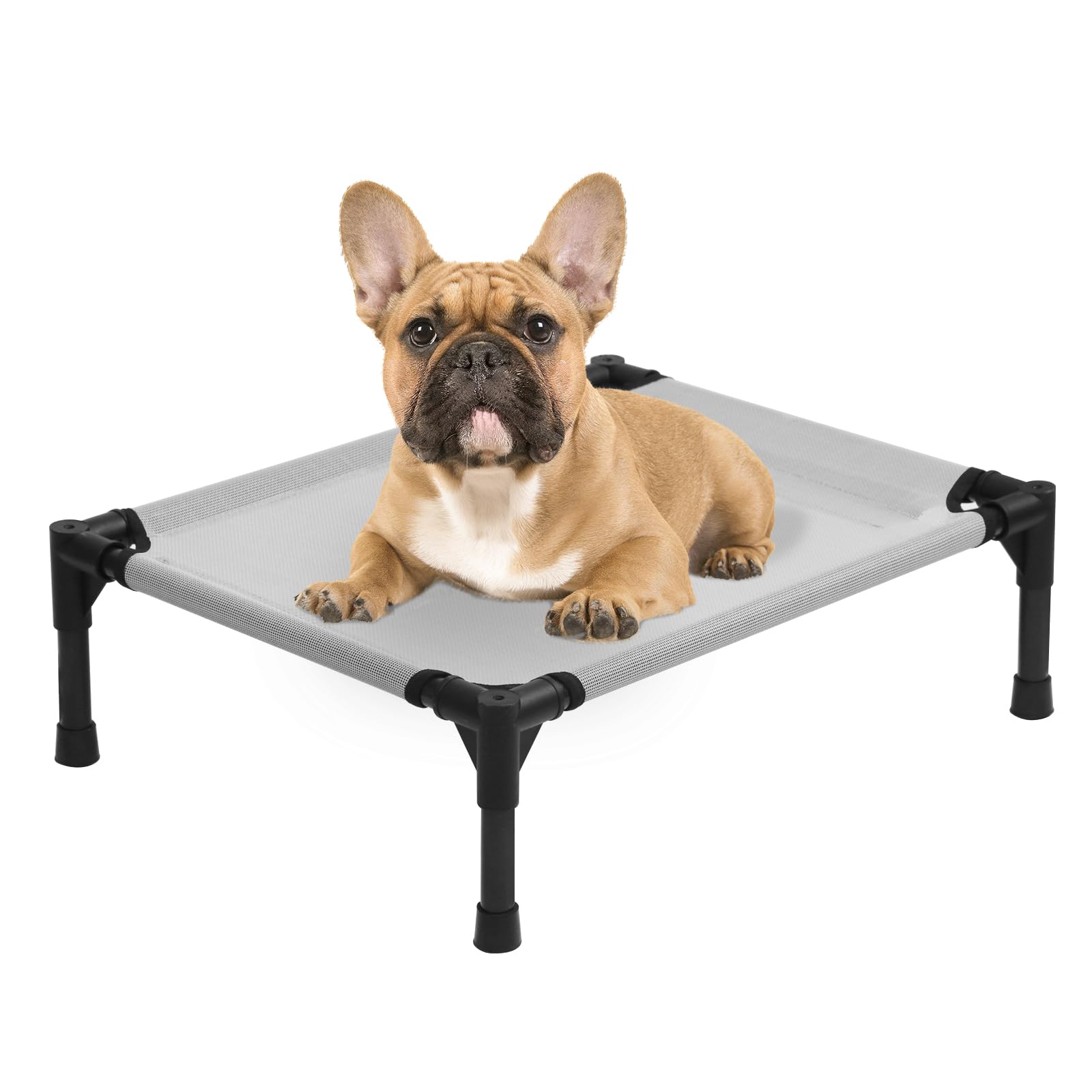 Small Elevated Dog Bed, Cooling Outdoor Raised Dog Cot Beds For Small Dogs, Portable Pet Hammock With Frame, Chew Proof Lifted P