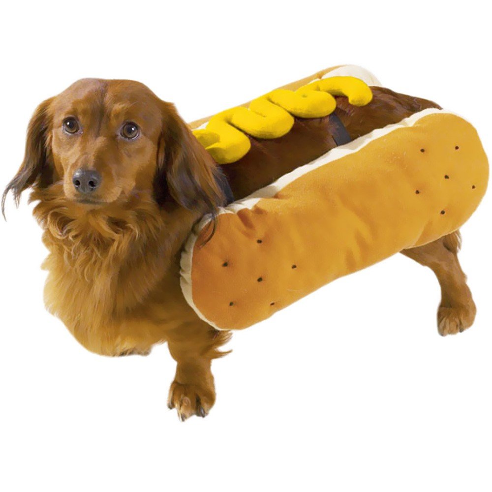 Casual Canine Hot Diggity Dog With Mustard Costume For Dogs, 12' Small