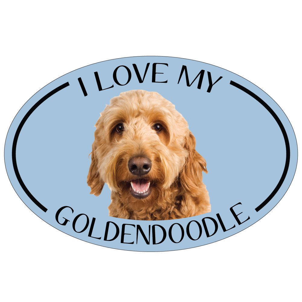 Imagine This Oval Magnet, I Love My Goldendoodle Small