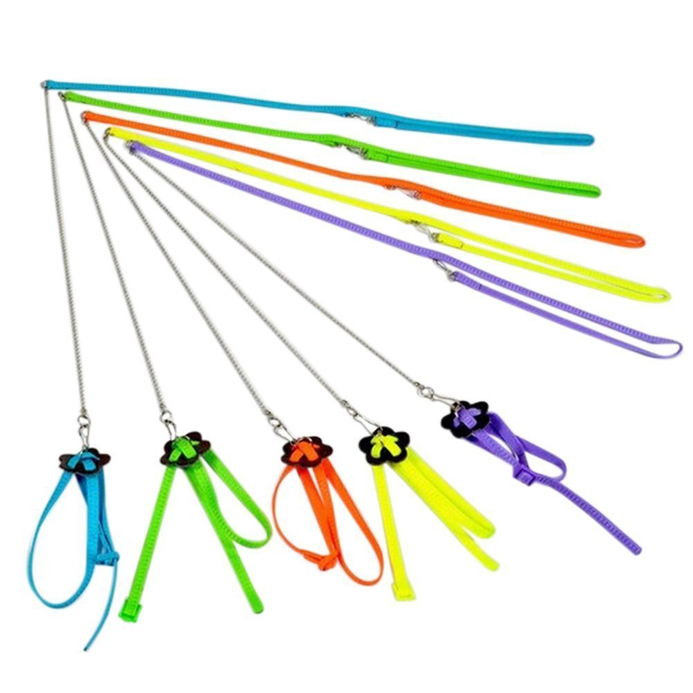 Hypeety Beauty Parrot Adjustable Bird Harness And Leash Outdoor Flying Anti-Bite For Bird Parrot African Grey Cockatoo Macaw Ringneck Parakeet Cockatiel Small Size Birds