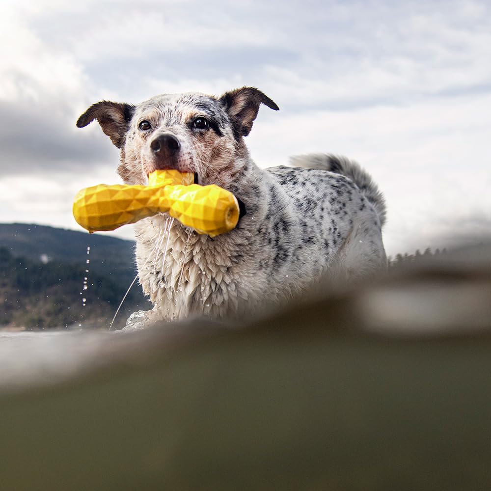 Hound2O Outdoor Dog Toys | Squeaky Boomerang Chew Toy For Dogs | Bright Yellow Color For Interactive Play | Durable Toy Made Fro