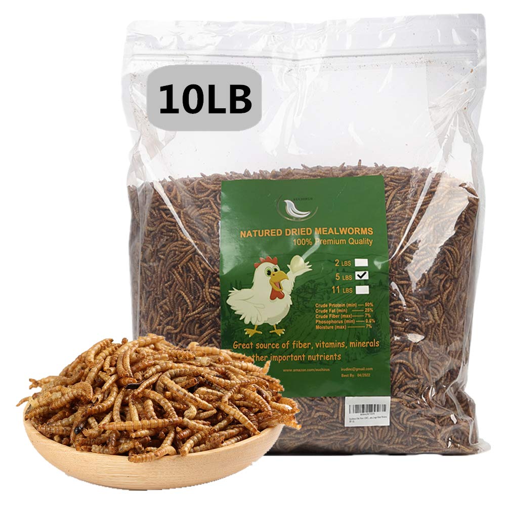 HANDPOINT 10 lbs Dried Mealworms, 100% Non-GMO Natural High-Protein,Treats for Chicken, Fish, Bird Food (10LB)