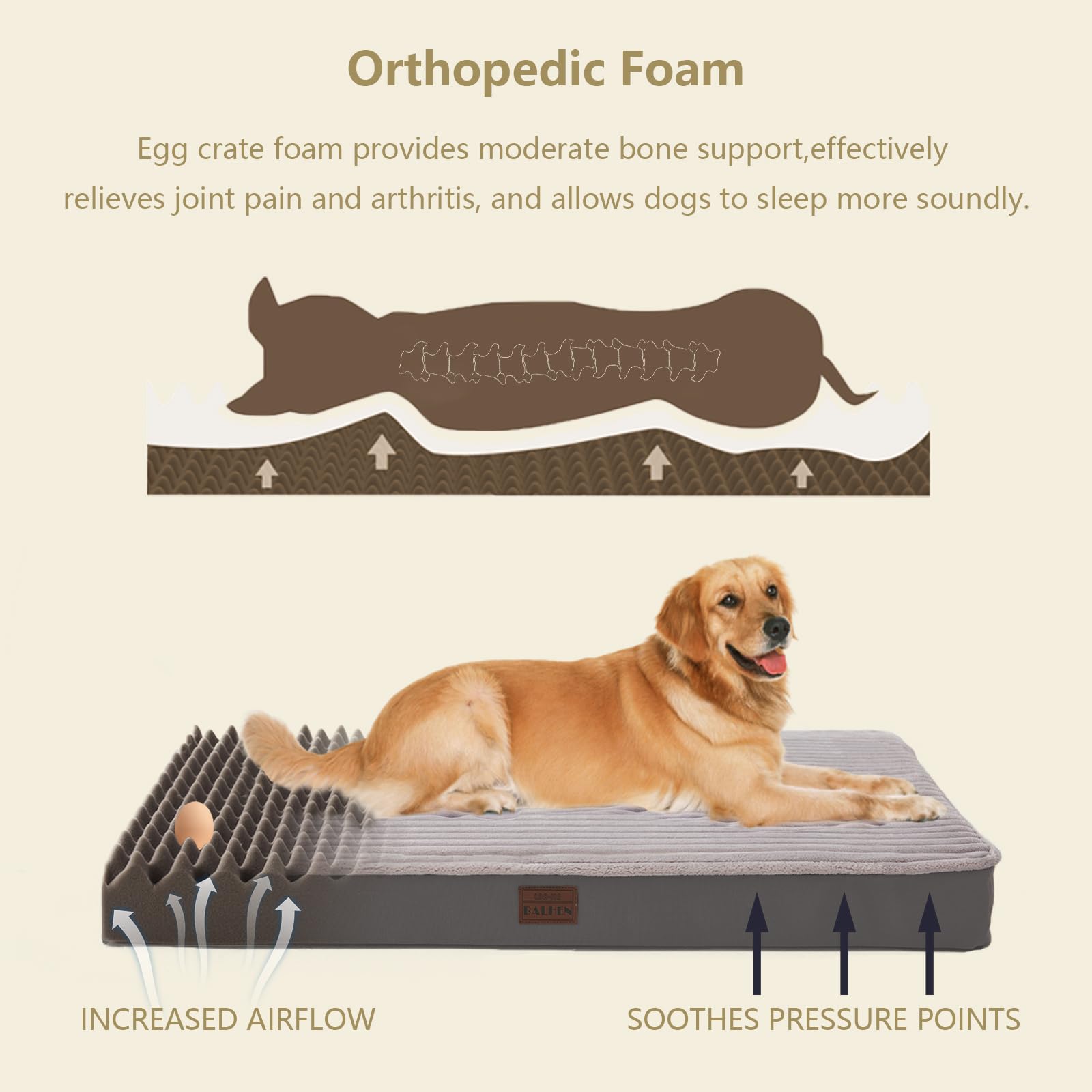 Orthopedic Dog Beds For Large, Medium, Small Dogs - Plush Washable With Egg Crate Foam, Waterproof With Removable Cover & Anti-S