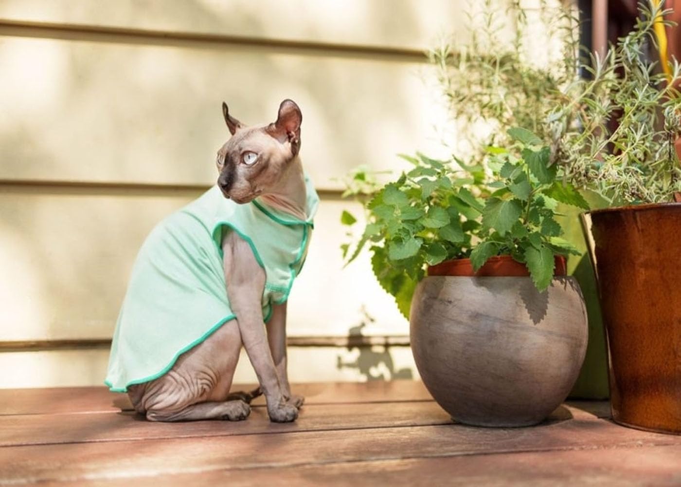 Gold Paw Sun Shield Dog Tee – T-Shirt For Canines – Uv Protection, Pet Anxiety Relief, Wound Care – Protects Against Foxtails, Aids Alopecia - Machine Washable, All Season – Size 22 – Ocean Blue