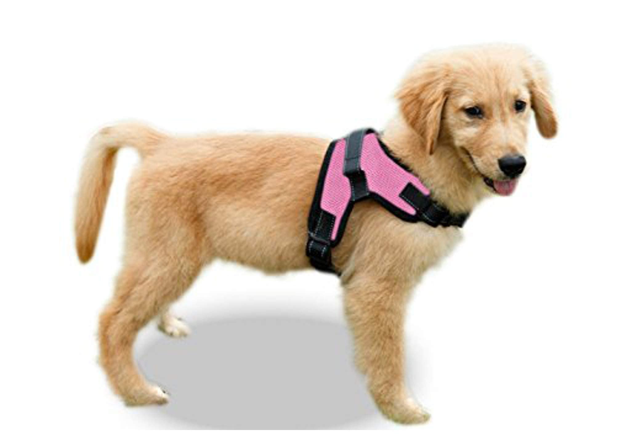 Copatchy No Pull Reflective Adjustable Dog Harness With Handle (Xx-Small, Pink)