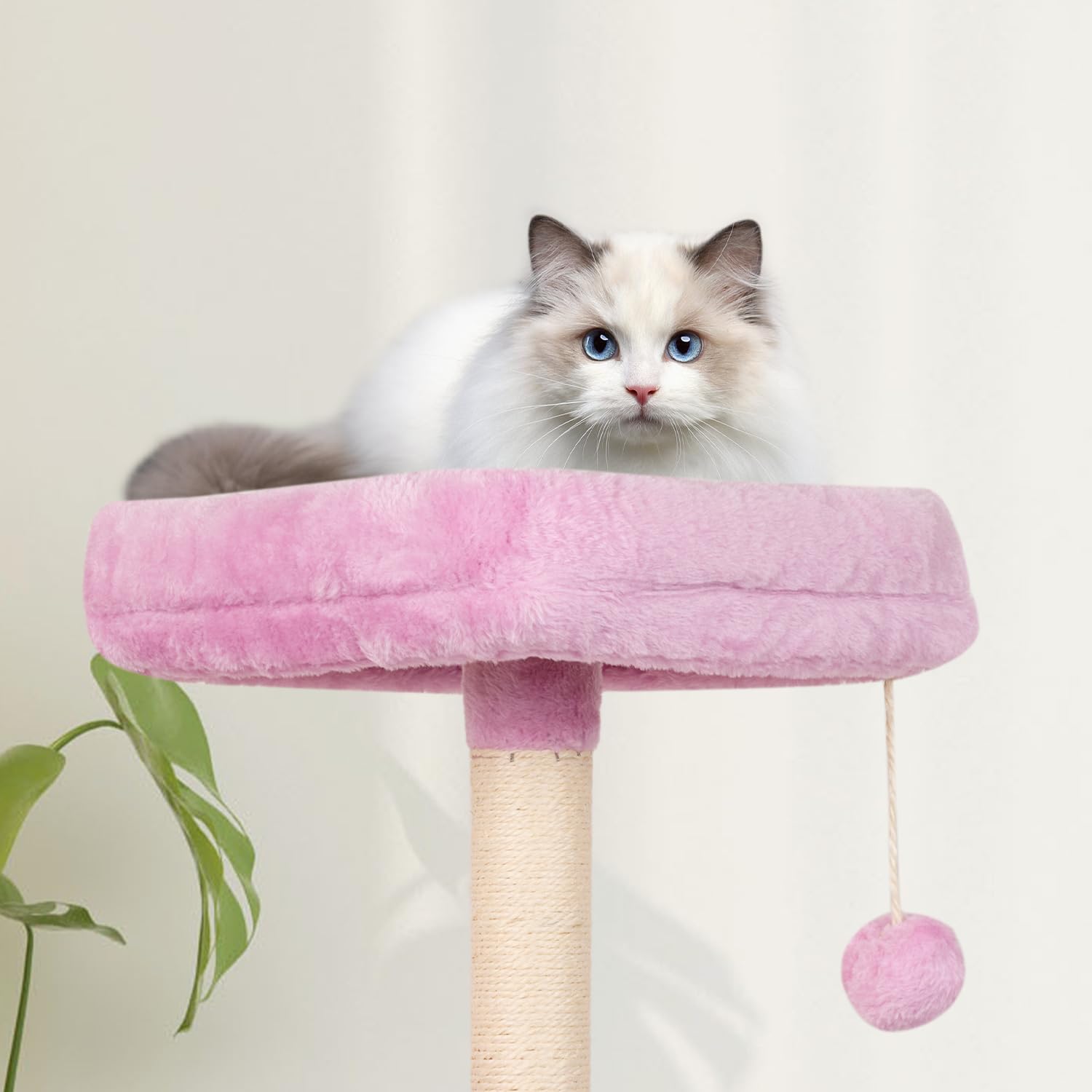 Miao Paw Pink Cute Cat Tree For Indoor Cat Tower With Scratching Post Modern Activity House Hammock Hanging Ball Condo With Boar