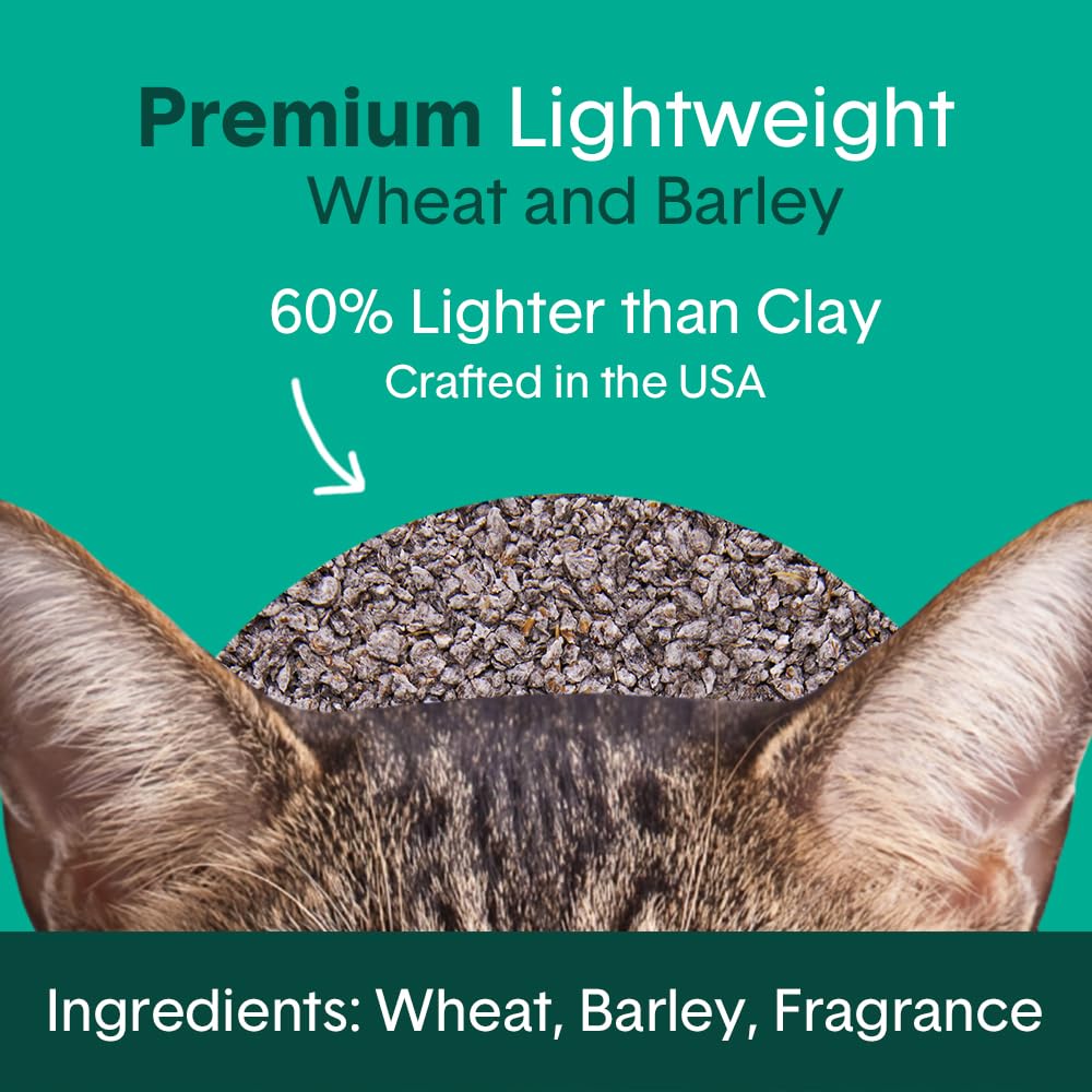 Boxiecat Air Lightweight Premium Clumping Cat Litter -Gently Scented- 11.5 Lb- Plant-Based Formula -Stays Ultra Clean, Longer Lasting Odor Control, 99.9% Dust Free