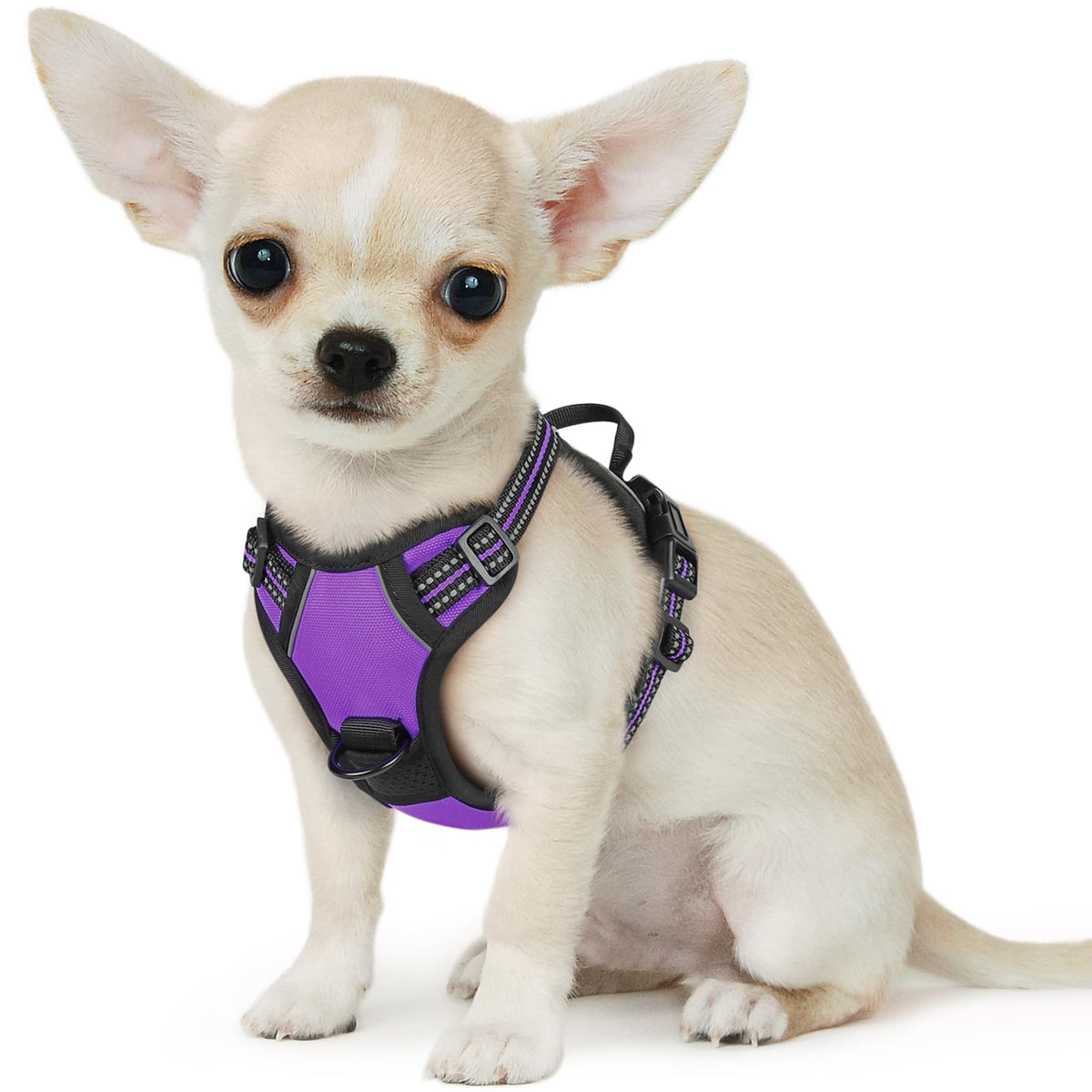 Eagloo Small Dog Harness No Pull, Service Vest With Reflective Strips And Control Handle, Adjustable And Comfortable For Easy Walking, No Choke Pet Harness With 2 Metal Rings, Purple, Xs