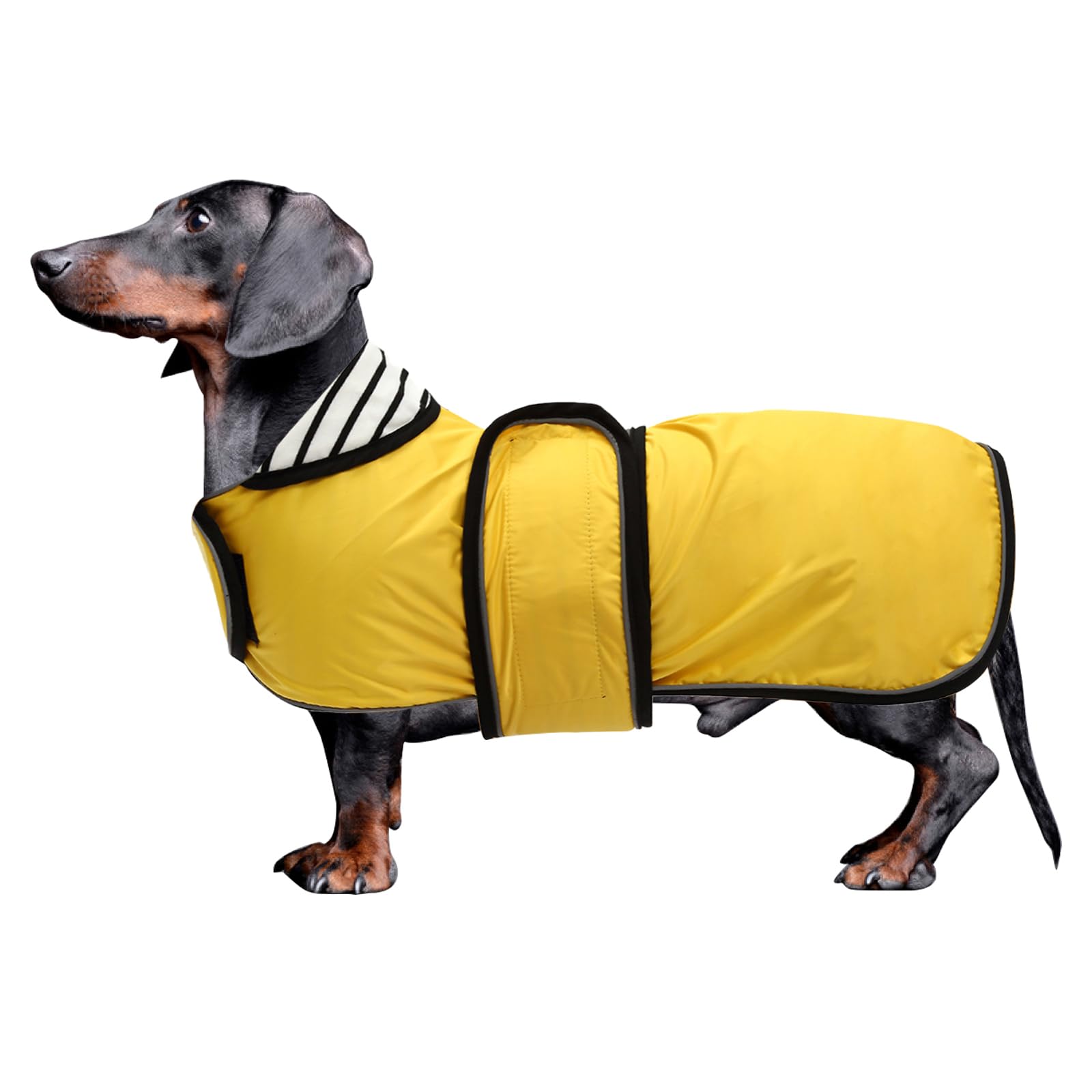 Dachshund Raincoat Waterproof, Perfect For Dachshund Sausage Weiner Long Back Breeds With Reflective Stripe Rain Coat For Dogs Great Coverage In Autumn Winter - Yellow - S