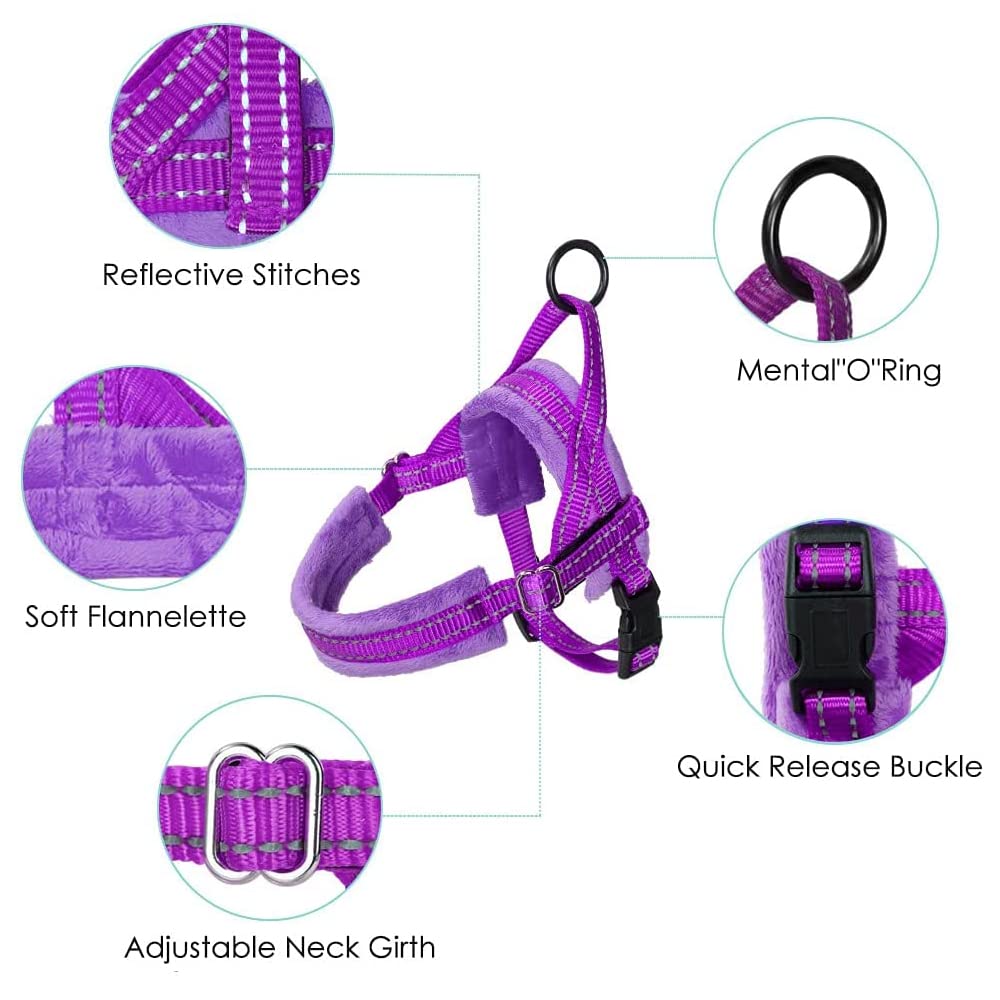Lukovee Walking Dog Harness And Leash, Heavy Duty Adjustable Puppy Harness Soft Padded Reflective Vest Harness Anti-Twist 4Ft Pet Lead Quick Fit Lightweight For Small Dog Cat (X-Small, Purple)