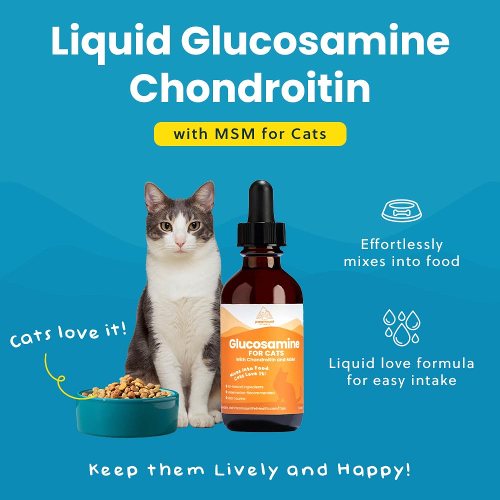 100% Natural Liquid Glucosamine Chondroitin with MSM for Cats, Hip & Joint Supplement for Senior Felines, Arthritis Support & Mo