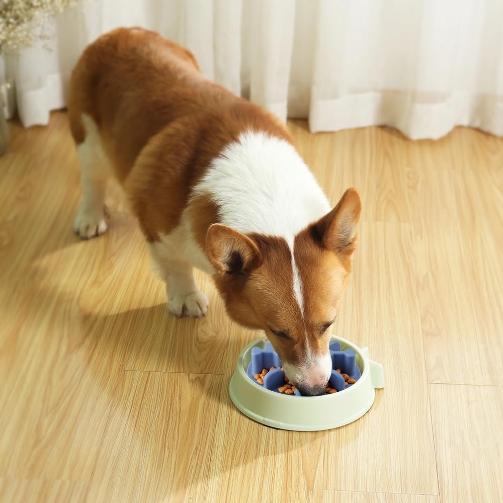 Slow Feeder Dog Bowls Insert, Animire Soft Silicone Anti-Choking Puzzle Slow Feeder, Anti-Slip Slow Down Eating Feeder Insert, C