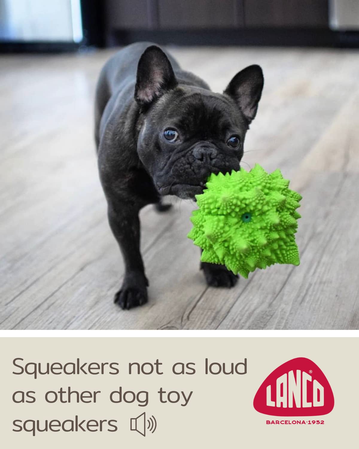 Xl Squeaky Dog Toy - Large And Medium Dogs - Sensory Nubby Dog Toy Broccoli - Natural Rubber (Latex) - Free From Harmful Chemicals (Green) -Like New