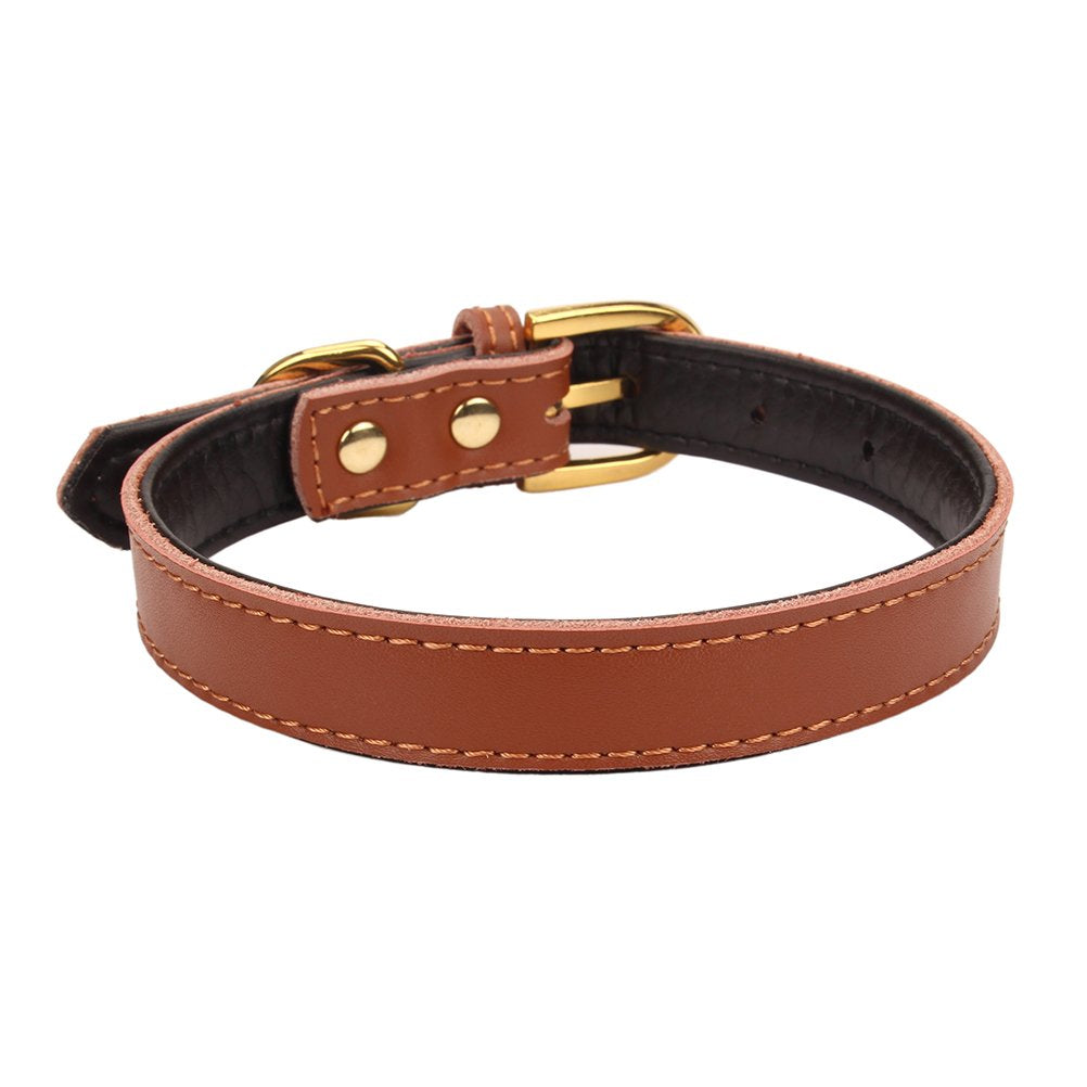 Aolove Basic Classic Padded Leather Pet Collars For Cats Puppy Small Medium Dogs (Brown, Small)