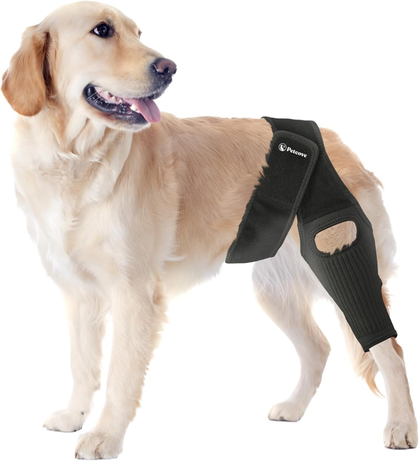 Dog Knee Brace, Dog Knee Brace for Torn Acl Hind Leg, Dog Leg Braces for Back Leg, Size Medium, Dog Acl Brace Hind Leg, Acl Brac