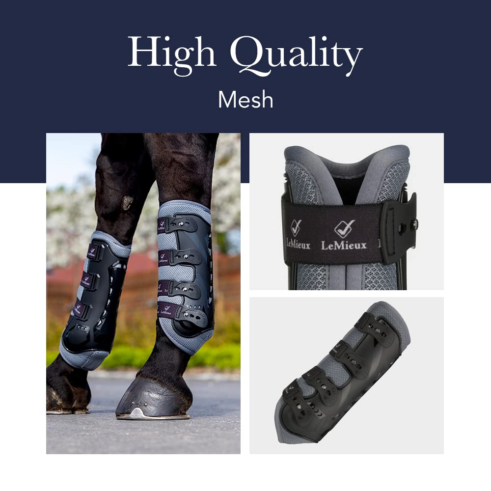 Lemieux Mesh Brushing Horse Boots - Protective Gear And Training Equipment - Equine Boots, Wraps & Accessories (Black - Medium)