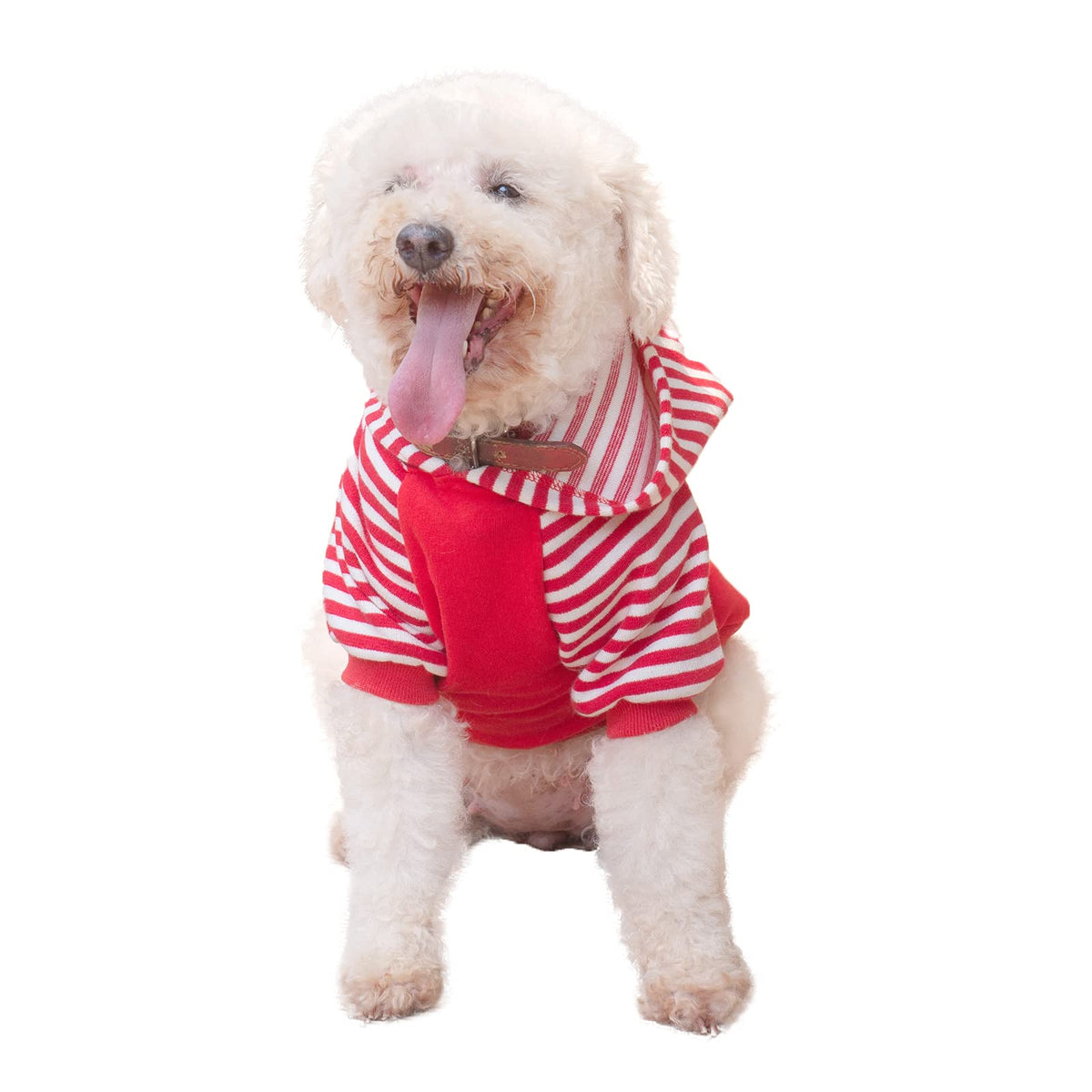 Cutebone Dog Hoodie Shirts Pet Clothes With Hat Red Stripes Dh01Xl