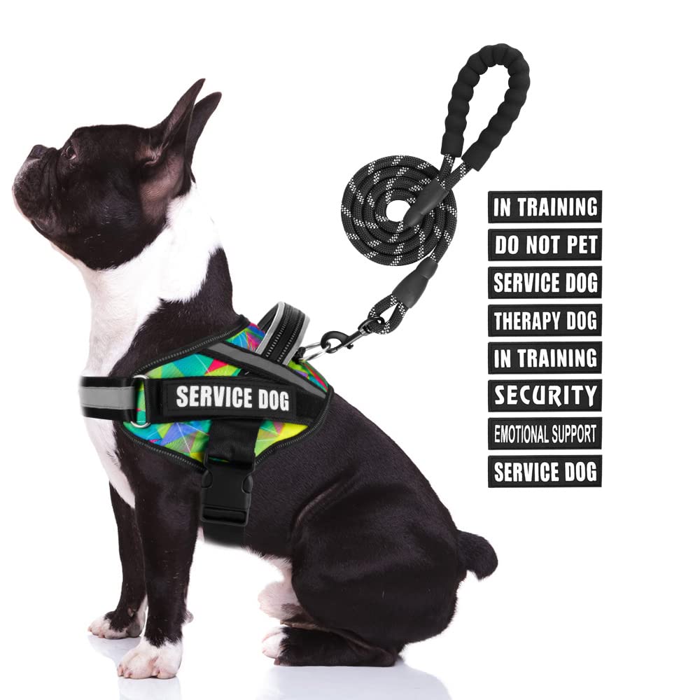 Service Dog Vest Harness And Leash Set, Animire In Training Dog Harness With 8 Dog Patches, Reflective Dog Leash With Soft Handle For Small, Medium, Large, And Extra-Large Dogs (Multi-Colored,M)