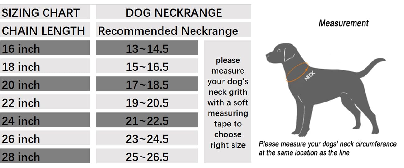 Sgoda Chain Dog Training Choke Collar, 22 In, 3.0 Mm