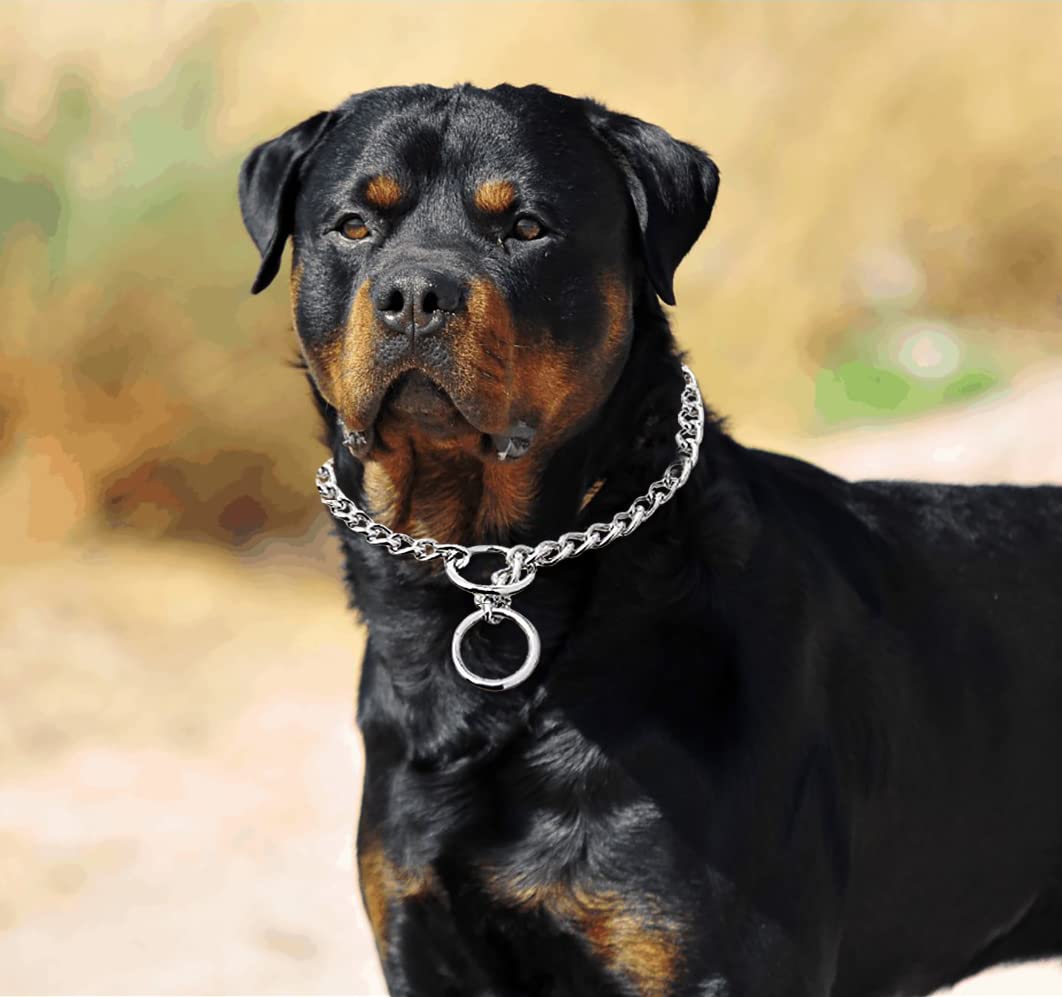 Freezx Dog Choke Collar Slip P Chain,Heavy Chain Dog Metal Training Choke Collars, Adjustable Weather Proof Alloy Steel Necklace For Small Medium Large Dogs