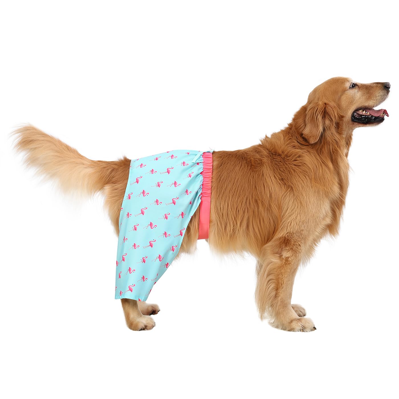 Hde Dog Swim Trunks Hawaiian Board Shorts Beach Pool Swimsuit For Xs To Xxl Dogs Party Like A Flock Star - Xl