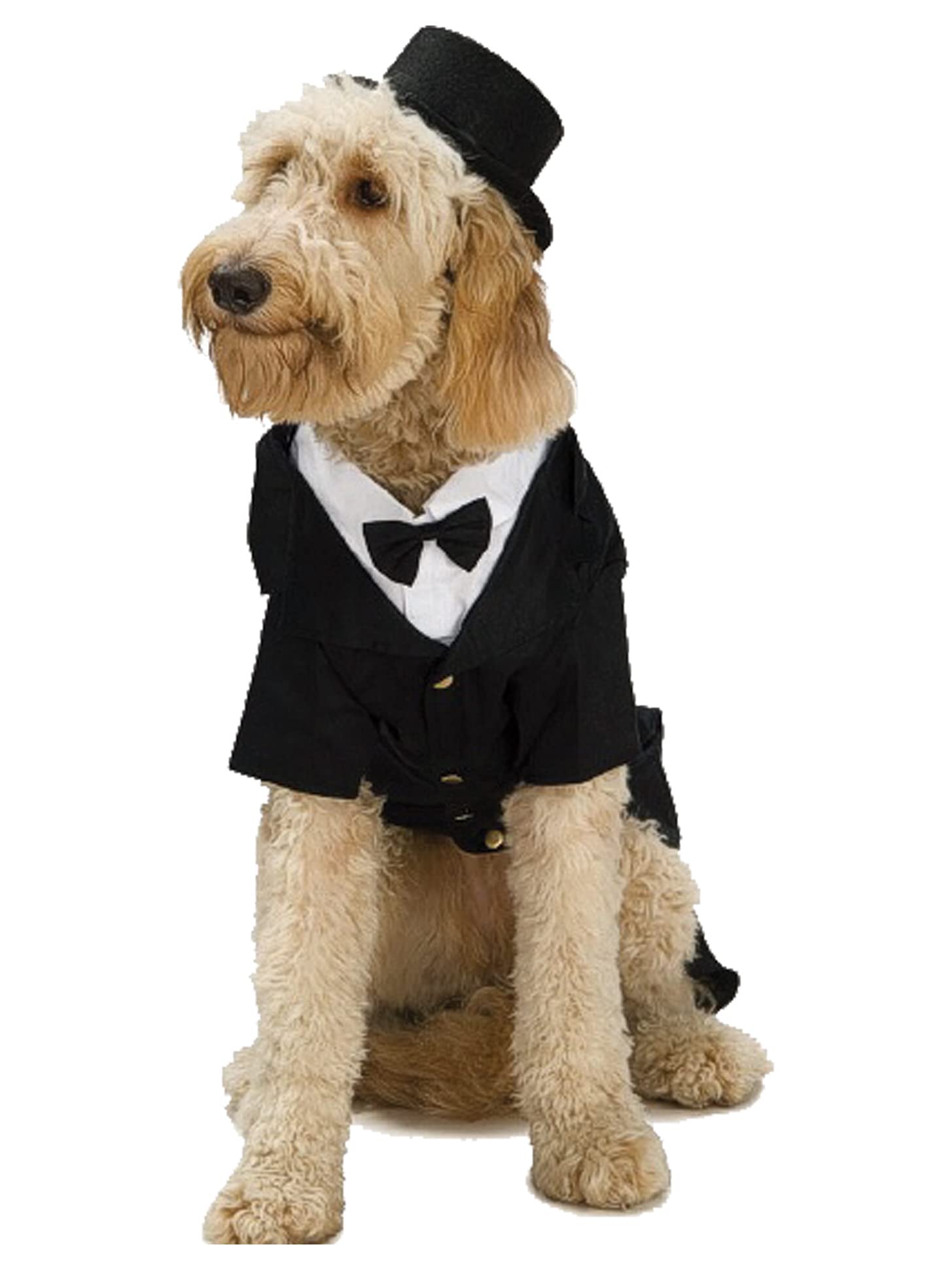 Rubie'S Top Hat For Your Pet, Medium/Large Multicolor