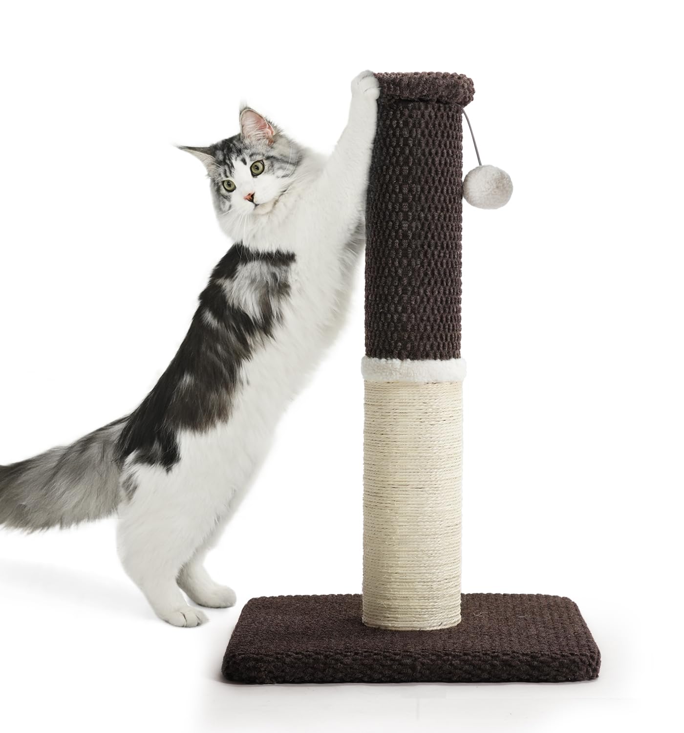 Made4Pets Tall Cat Scratching Post, Heavy Duty and Thicker Scratching Posts for Indoor Cats Adults, 23.6 Natural Sisal Cat Scrat