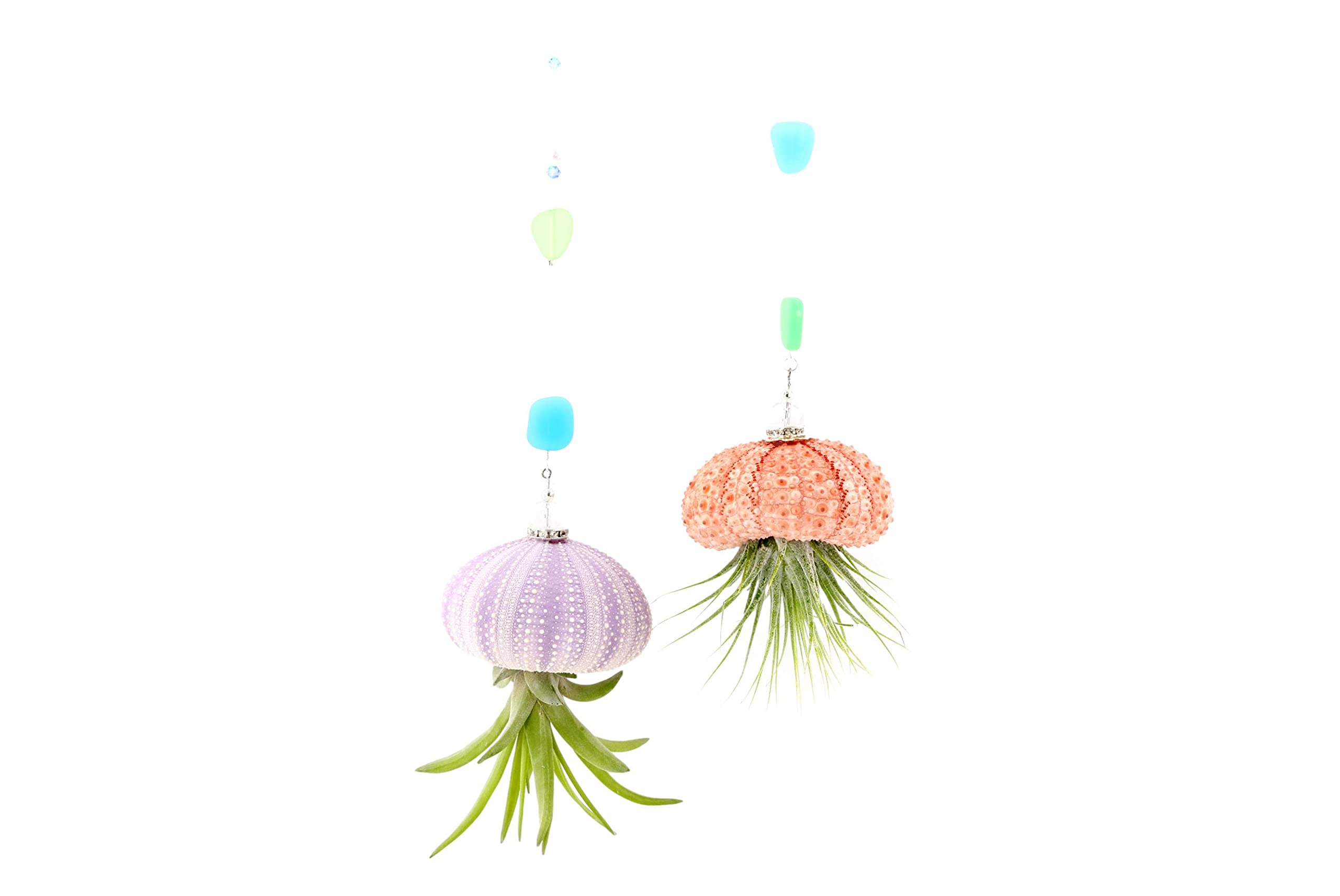 2 Dirty Birds, Handmade Live Jellyfish Air House Plants, Hanging Sea Urchin Shell W/Sea Glass, Swarovski, & Freshwater Pearls (P