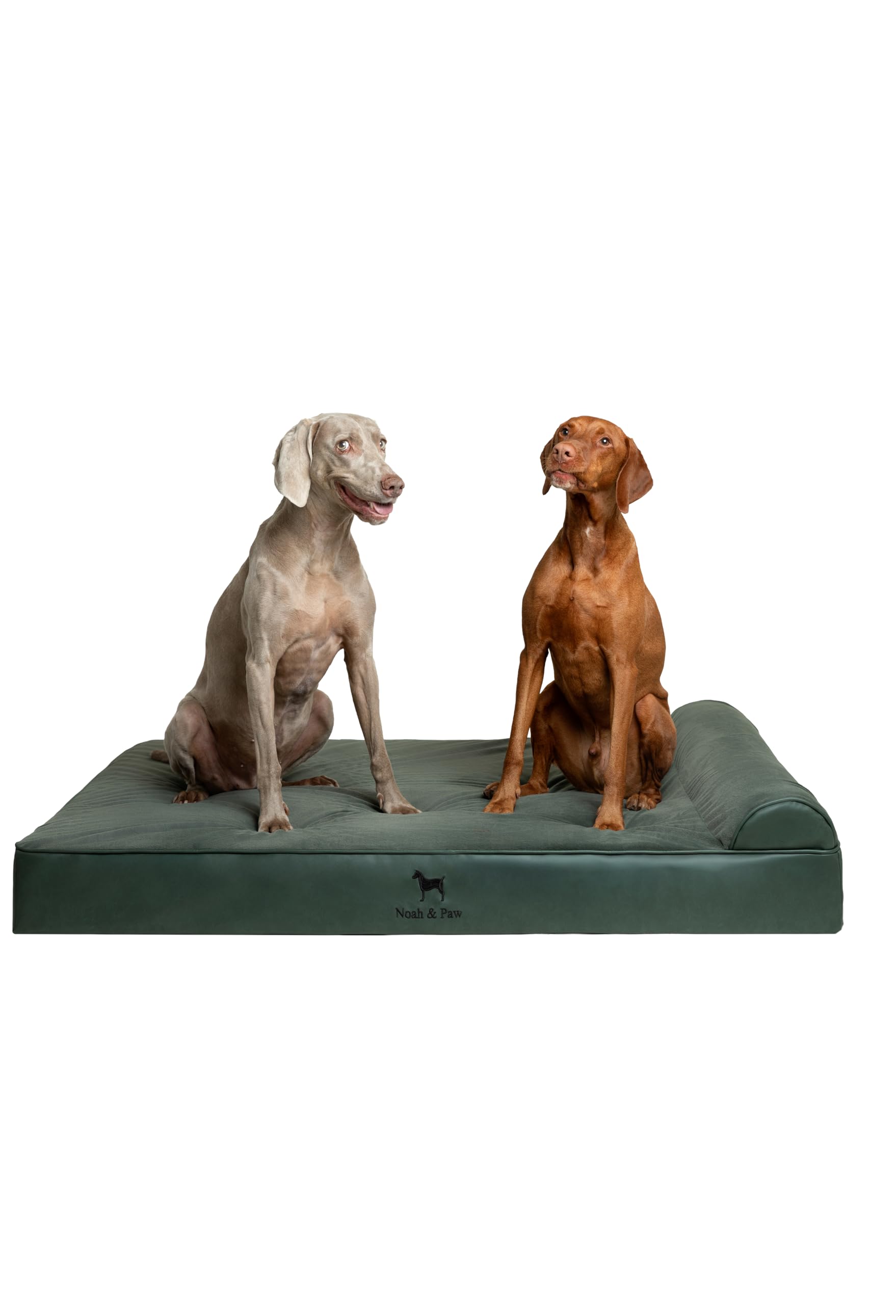 NOAH & PAW Giant Dog Bed XXL 55x45x11 Inch, Orthopedic Dog Beds, Eggshell Memory Foam Infused with Cooling Gel, Waterproof, Mach