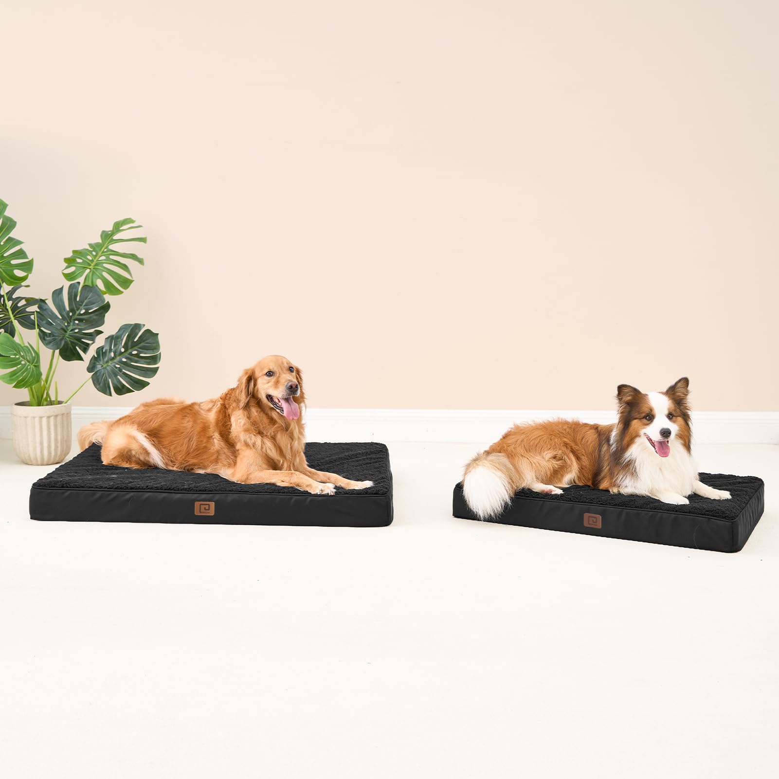 EHEYCIGA Orthopedic XL Dog Bed - Removable Washable Cover, Black, 44"x32", Ideal for Extra Large Dogs, Durable Polyester