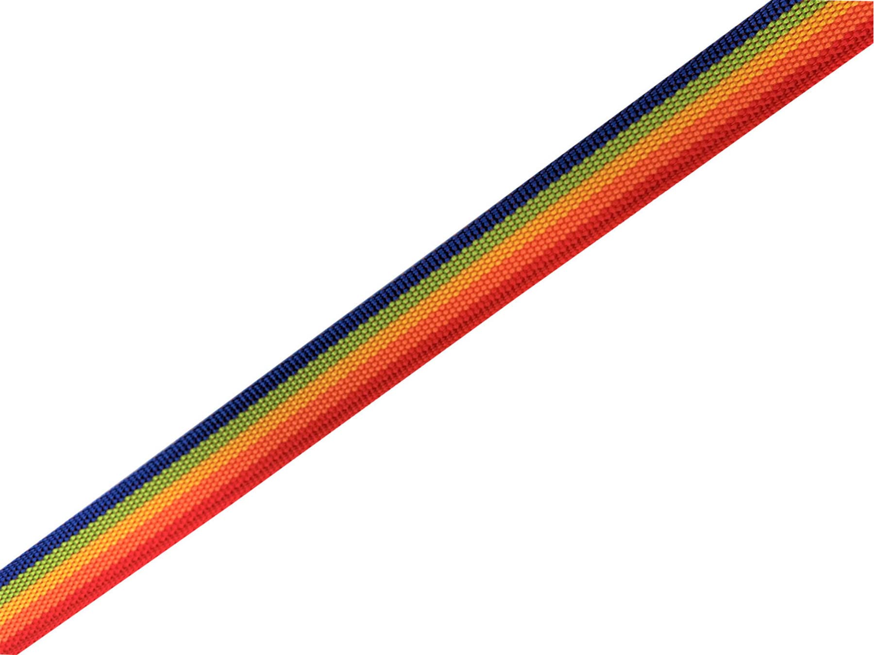 Nylon Dog Leash 12 Feet Long, Walking Training Dog Leashes For Medium Large Dogs(1'' X 12 Ft, Rainbow)
