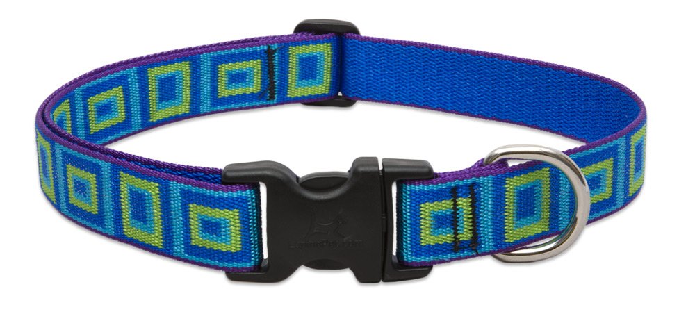 LupinePet Originals 1&quot; Sea Glass 12-20&quot; Adjustable Collar for Medium and Larger Dogs