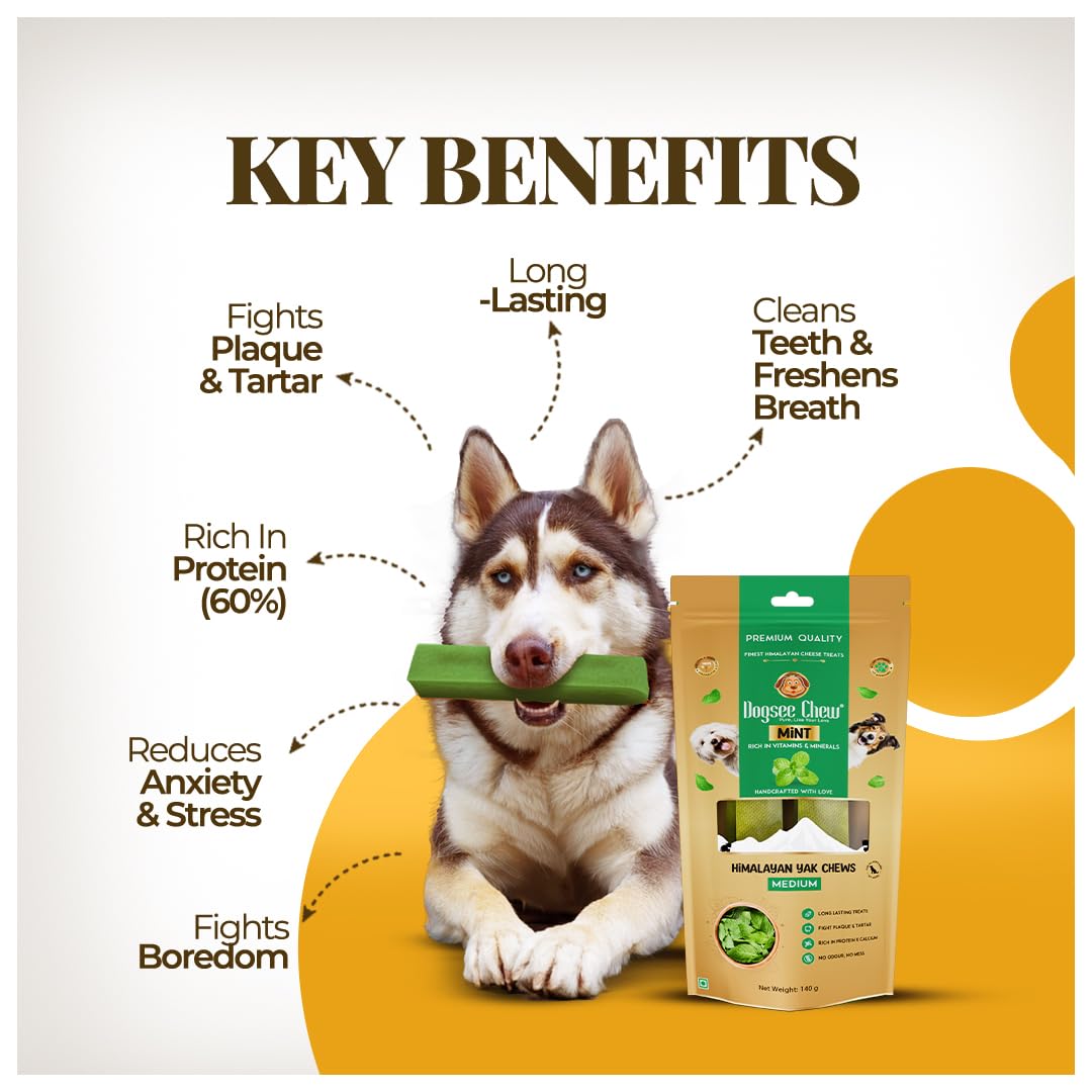Dogsee Mint Flavor Himalayan Yak Chews for Dogs (Monster - 3 Bars) | Aid Digestion | Dog Chews for Teeth Cleaning | Odorless Dog