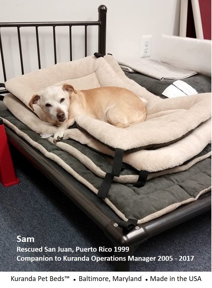 Kuranda Pillow Pad - Toy - 25' X 18' - Smoke