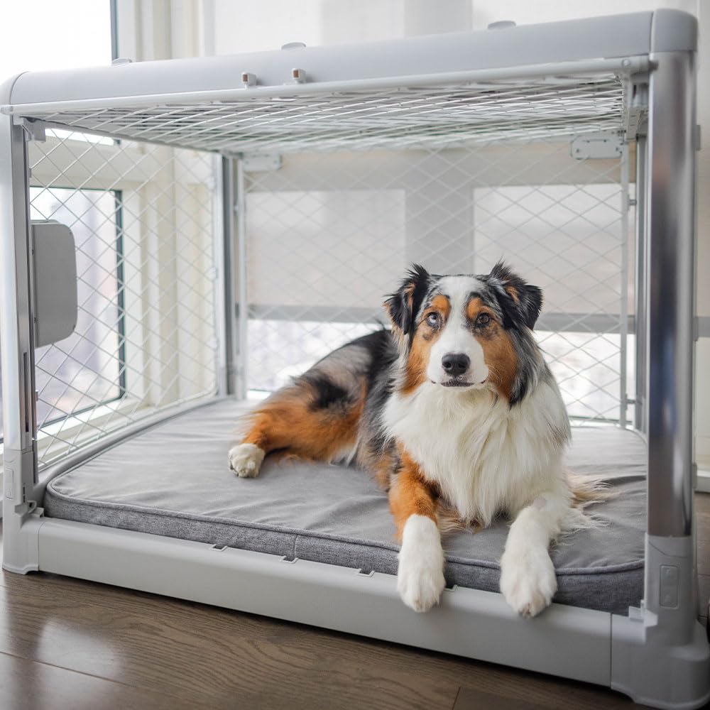 Diggs Snooz Memory Foam Dog Bed - Ideally Sized Revol Dog Crate Pad - Premium Orthopedic Pet Bed For Crate Or Home - Grey, Inter