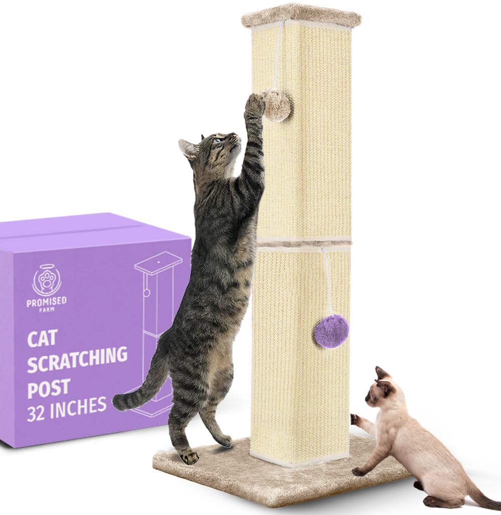 Promised Farm Tall Cat Scratching Post 32 Inches - Protects Furniture - Durable And Sturdy Design - Aesthetic Cat Accessories Es