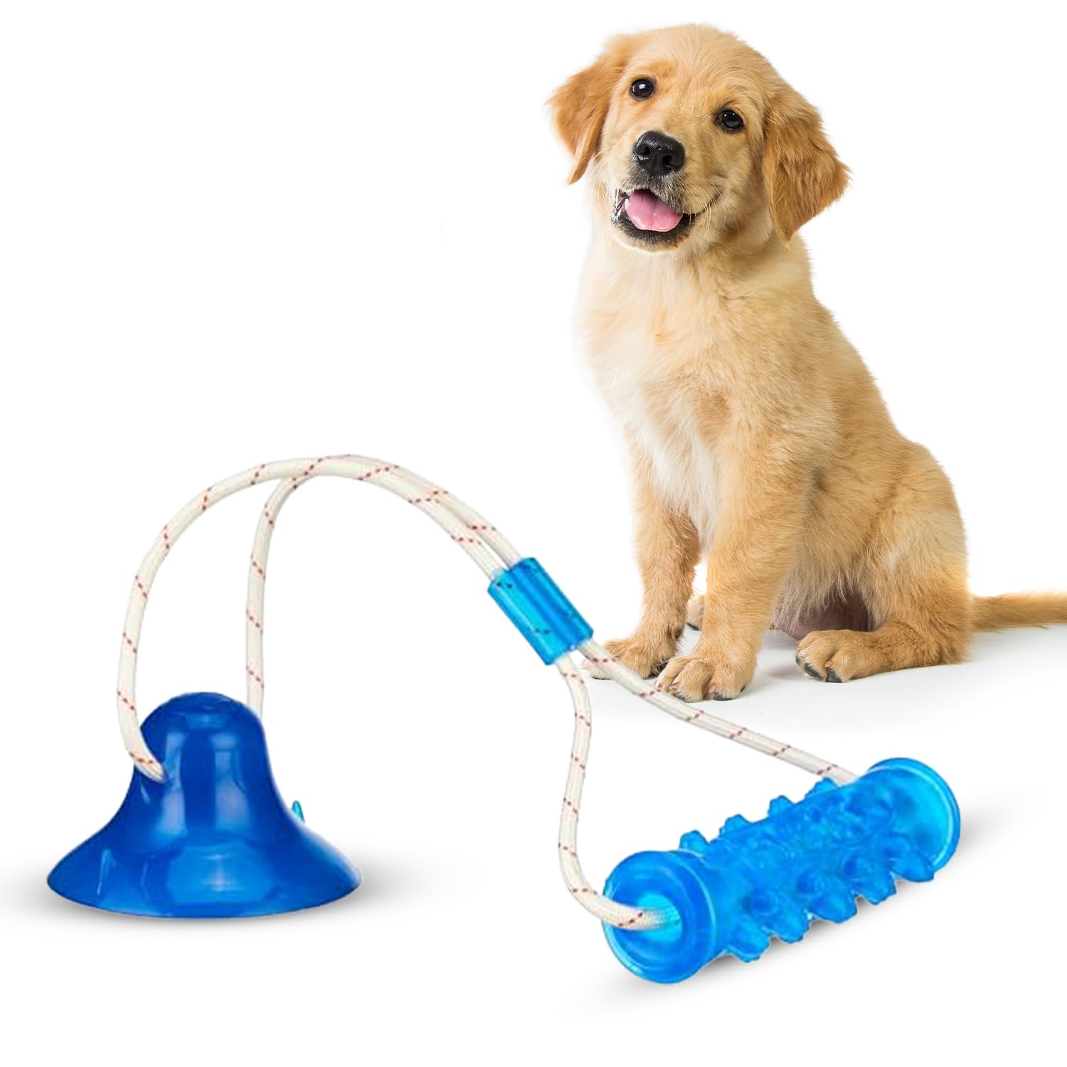 Amazon Basics Tug Of War Interactive Dog Toy | Blue | Suction Cup | Chew Grip With Rope | Stimulating & Interactive Ball For Tee