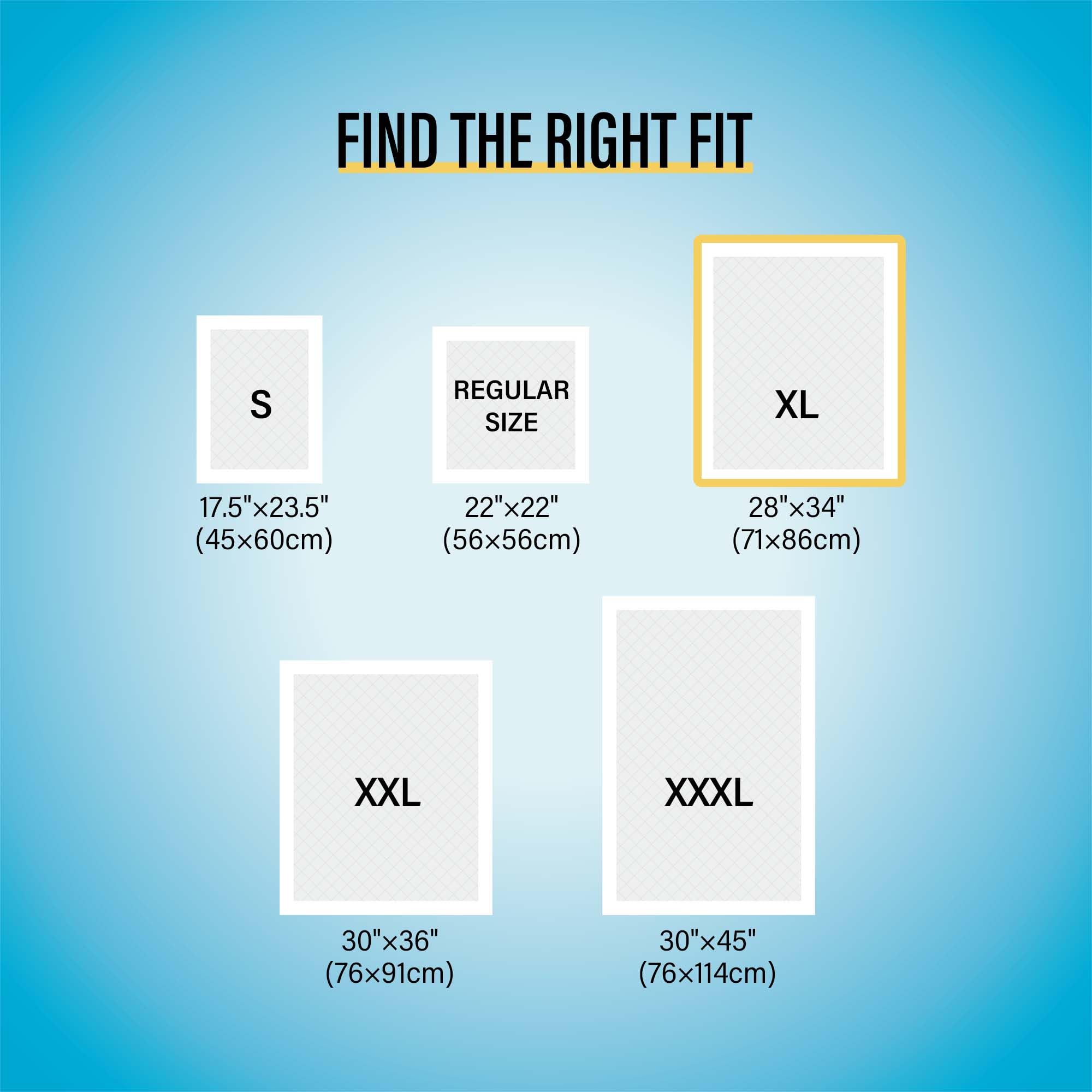 Cocoyo Best Value Training Pads, 28' By 34' Xl, 40 Count,Blue And White, Packaging May Vary