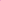 Pet Dog & Cat Shirt Screen Printed, &quot;Backyard Security&quot; Bright Pink XL (14-20 lbs.)