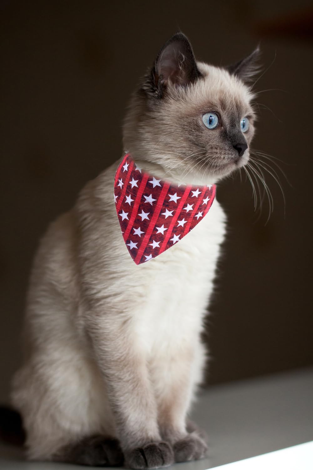 Independence Day Cat Collars American Breakaway With Bandana Bell Pet Kitten Adjustable For Small Dog Puppies Girl Boy