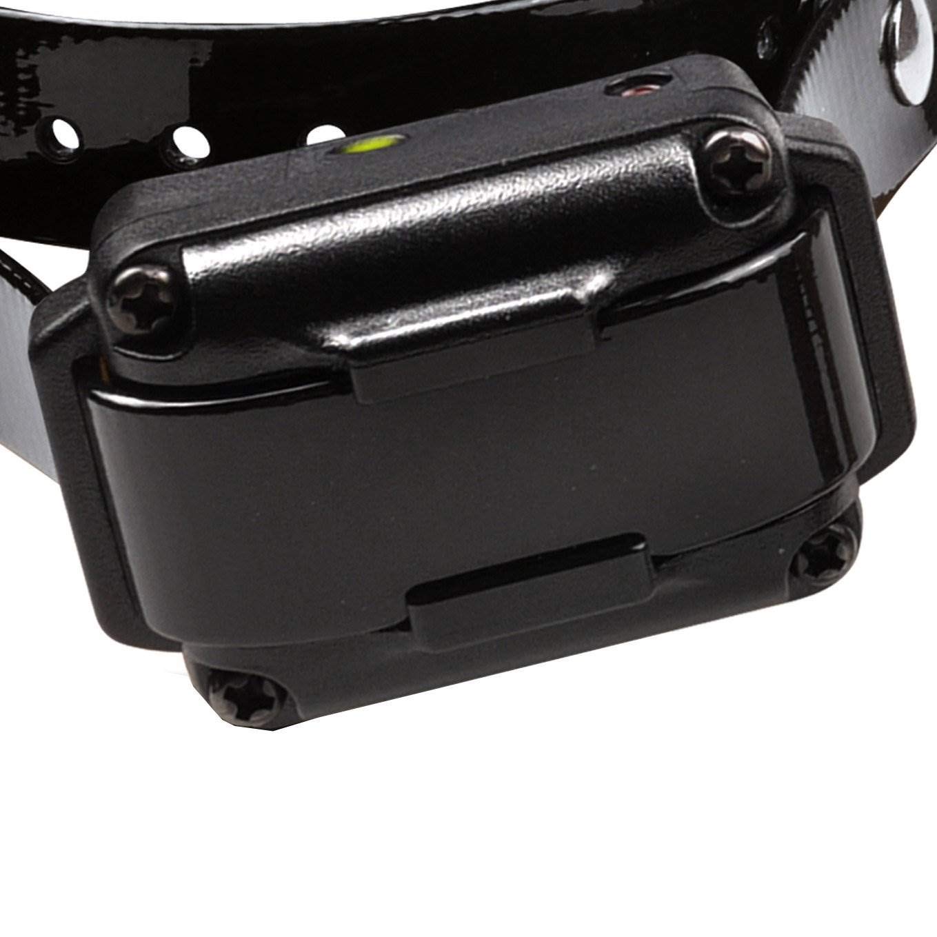 Iq Plus Remote Dog Trainer